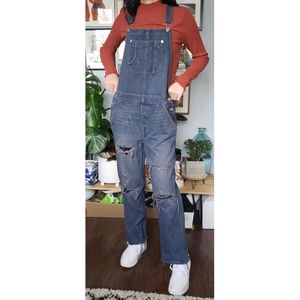 Dark Wash Distressed Overalls